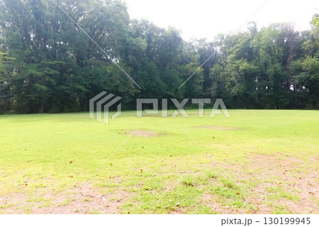 森に囲まれた広々とした芝生広場 森に囲まれた広々とした芝生広場 130199945