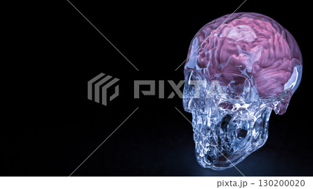 The Crystal Skull and Brain for sci or medical concept 3d Rendering. The Crystal Skull and Brain for sci or medical concept 3d Rendering. 130200020