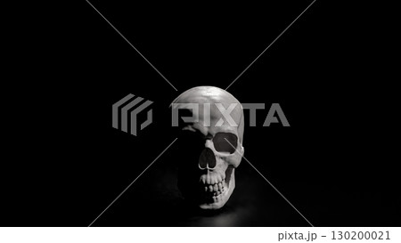 The Skull on Black Background for sci or medical concept 3d Rendering. The Skull on Black Background for sci or medical concept 3d Rendering. 130200021