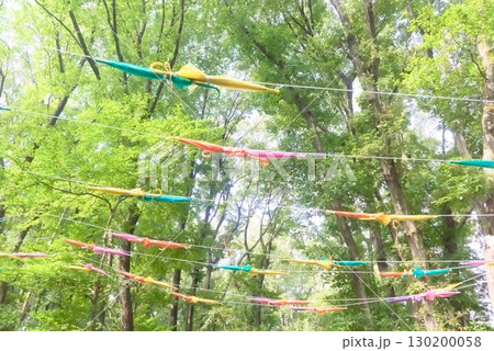 岩鼻公園のアンブレラスカイ 130200058