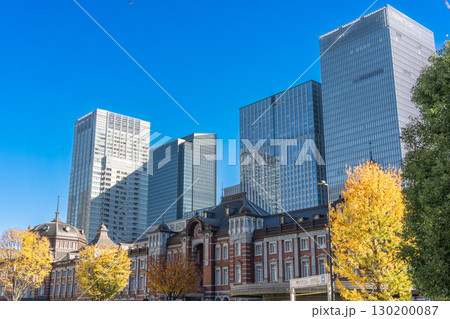 イチョウの木と東京駅舎 130200087