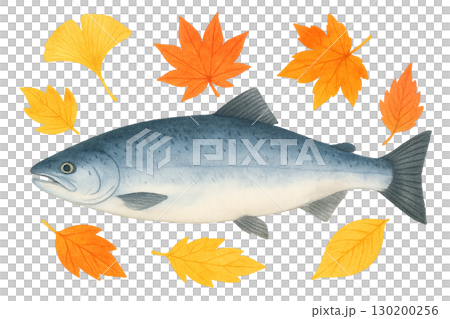 秋の紅葉とサケのイラストセット（透過PNG） 130200256