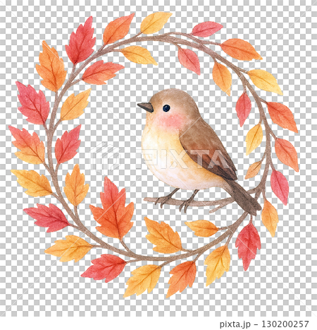 秋天的落葉和鳥類的秋季插圖（透明PNG） 130200257