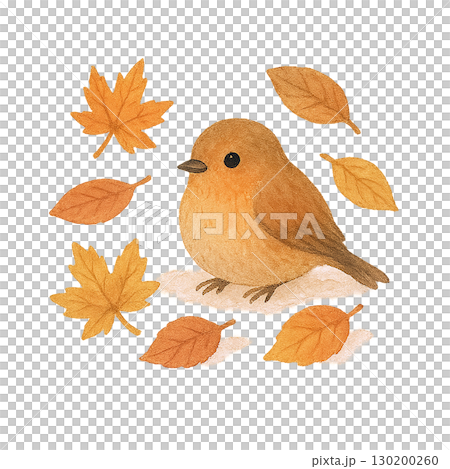 秋葉和鳥類的可愛秋季插圖（透明PNG） 130200260