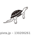 横向きのカメのイラスト 130200261