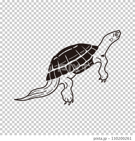 横向きのカメのイラスト 130200261