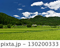 愛媛県久万高原町　夏の直瀬に広がる稲田 130200333