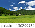 愛媛県久万高原町　夏の直瀬に広がる稲田 130200334