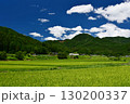 愛媛県久万高原町　夏の直瀬に広がる稲田 130200337