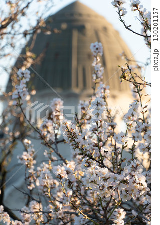 Blooming spring branches in front of the iconic dome of Gellert Baths (Gellert Gyogyfurdo) in Budapest, Hungary Blooming spring branches in front of the iconic dome of Gellert Baths (Gellert Gyogyfurdo) in Budapest, Hungary 130201157