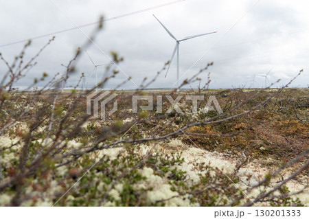Wind turbines stand tall in the tundra landscape of Teriberka, Russia, under a cloudy Arctic sky 130201333