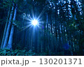 深い森 130201371