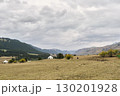 pastureland in xinjiang, china 130201928