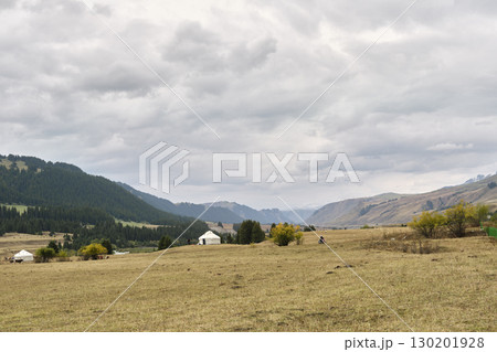 pastureland in xinjiang, china 130201928