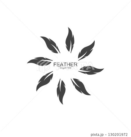 Feather logo vector template 130201972