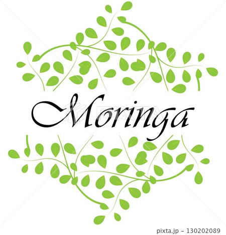 Moringa leaf logo illustration vector design 130202089
