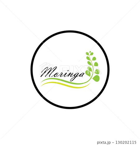 Moringa leaf logo illustration vector design Moringa leaf logo illustration vector design 130202115