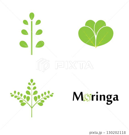 Moringa leaf logo illustration vector design 130202118