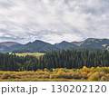 autumn scenery in xinjiang, china 130202120