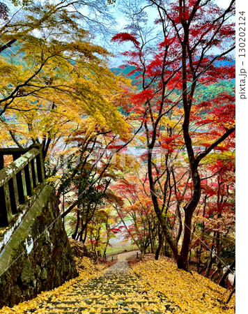 紅葉に彩られた石段　Stone steps decorated with autumn leaves 130202124