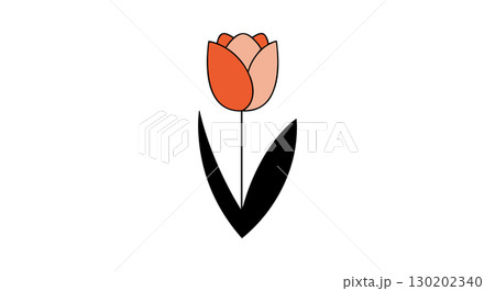Tulip flower vector illustration with orange petals and black leaves simple design Tulip flower vector illustration with orange petals and black leaves simple design 130202340