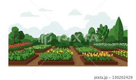 Vegetable and Flower Garden Beds with Green Trees and Cloudy Sky Vector Illustration 130202429