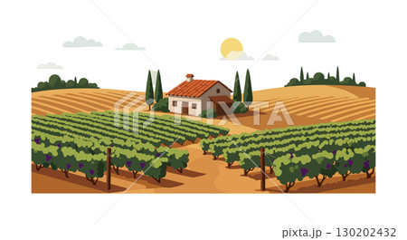 Vineyard landscape with house under sunset sun and green grapevines in countryside vector Vineyard landscape with house under sunset sun and green grapevines in countryside vector 130202432