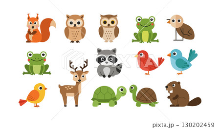 Cute woodland and forest animals vector set with birds frogs turtles and mammals collection Cute woodland and forest animals vector set with birds frogs turtles and mammals collection 130202459