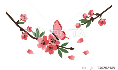 Pink Butterfly on Cherry Blossom Branch with Falling Petals Vector Illustration 130202489