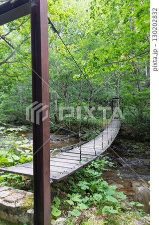 夏の奥志賀渓谷遊歩道　満水川吊り橋 130202832
