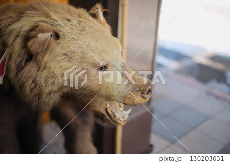 店先に展示された熊のはく製 130203031