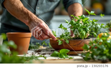 A man carefully picks fresh herbs from a pot, emphasizing his focus on plant-based food preparation 130203176