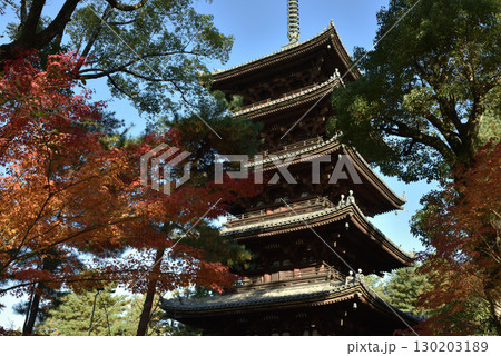 仁和寺　秋の五重塔(京都市右京区) 130203189
