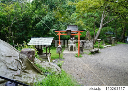 緑に囲まれた静かな神社の祠と鳥居の風景 130203537