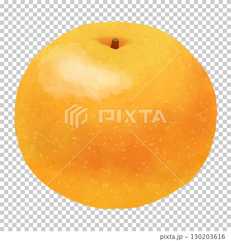 梨的插圖 130203616