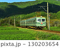 大井川鉄道　南海電車　茶畑 130203654