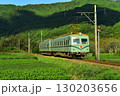 大井川鉄道　南海電車　茶畑 130203656