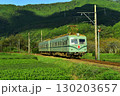 大井川鉄道　南海電車　茶畑 130203657