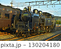 大井川鉄道　新金谷駅　SL（蒸気機関車） 130204180