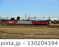 電気機関車 EF81 黒磯訓練 宇都宮線 130204394