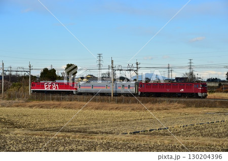 電気機関車 EF81 黒磯訓練 宇都宮線 130204396