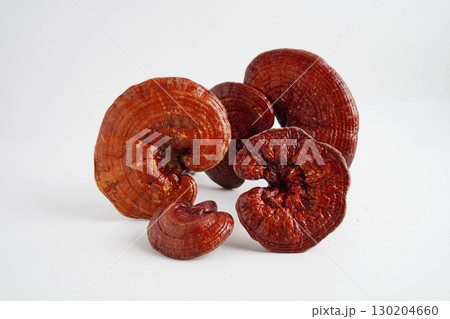 Lingzhi or Reishi mushroom with capsules, organic natural healthy food. 130204660