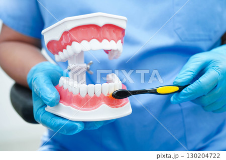 Doctor clean teeth denture with toothbrush for teach patient and dentist studying about dentistry. Doctor clean teeth denture with toothbrush for teach patient and dentist studying about dentistry. 130204722