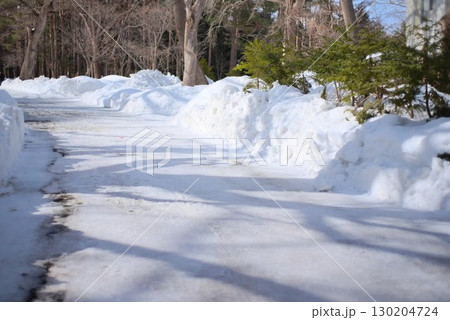 積雪に囲まれた冬の並木道 130204724