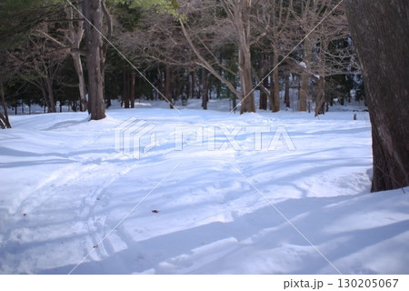 雪に覆われた参道と冬の境内 130205067