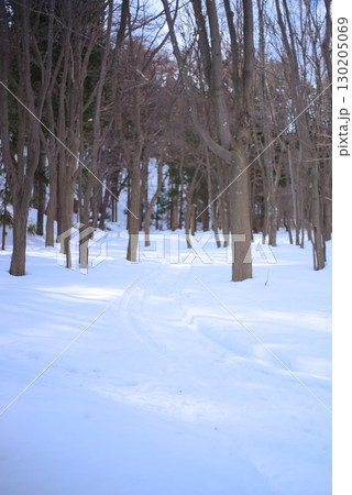 雪に覆われた参道と冬の境内 130205069