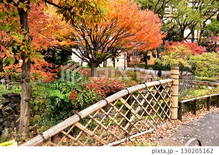 横浜市 横浜公園・彼我庭園の色鮮やかな紅葉と散策路 横浜市 横浜公園・彼我庭園の色鮮やかな紅葉と散策路 130205162
