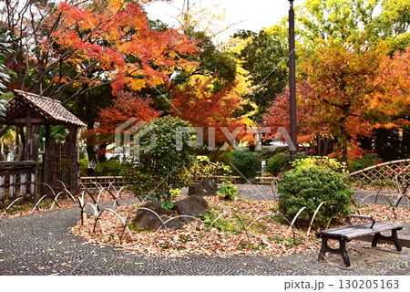 横浜市 横浜公園・彼我庭園の色鮮やかな紅葉と散策路 横浜市 横浜公園・彼我庭園の色鮮やかな紅葉と散策路 130205163