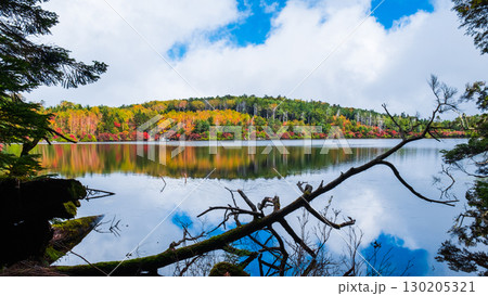 秋の白駒池 130205321