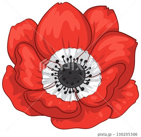 Red Anemone Flower Vector Illustration with Bold Petals 130205386